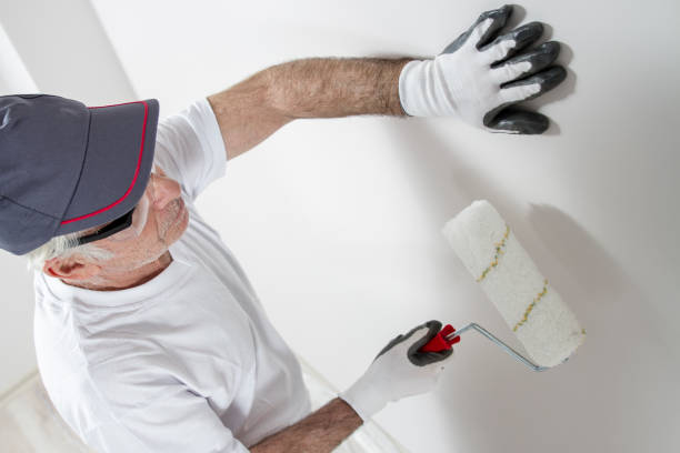 Professional Mold Removal in Jersey Village, TX