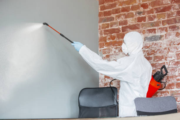 Best Airborne Mold Testing  in Jersey Village, TX