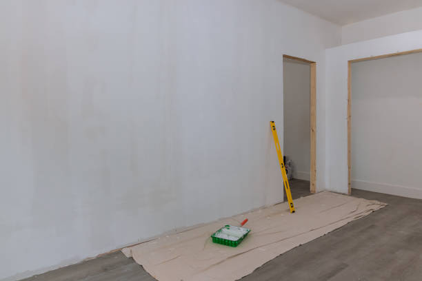 Trusted Jersey Village, TX Mold Removal Experts