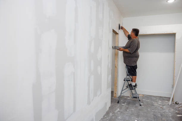 Best Dehumidification Services  in Jersey Village, TX