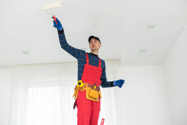 Best Comprehensive Air Testing for Mold Contaminants  in Jersey Village, TX